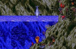 Скриншот из игры «Ecco the Dolphin»