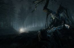 Скриншот из игры «Blair Witch»