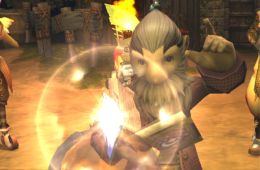 Скриншот из игры «Final Fantasy: Crystal Chronicles»