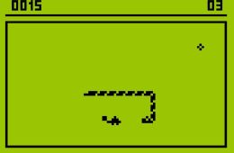 Скриншот из игры «Snake»