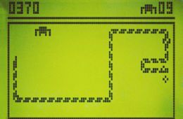 Скриншот из игры «Snake»