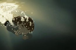Кадр