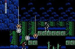 Скриншот из игры «Castlevania II: Simon's Quest»