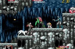 Скриншот из игры «Shadow Dancer: The Secret of Shinobi»