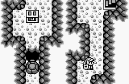 Скриншот из игры «The Legend of Zelda: Link's Awakening»