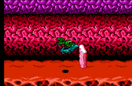 Скриншот из игры «Battletoads»