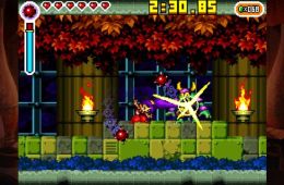 Скриншот из игры «Shantae: Risky's Revenge - Director's Cut»