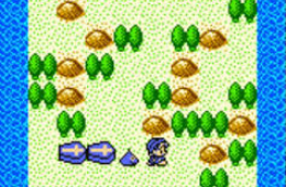 Скриншот из игры «Dragon Warrior Monsters»