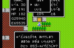Скриншот из игры «Dragon Warrior»