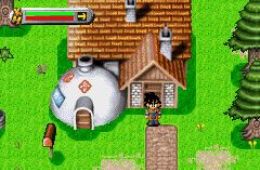 Скриншот из игры «Dragon Ball Z: The Legacy of Goku»