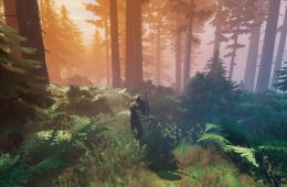 Скриншот из игры «Valheim»