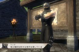 Скриншот из игры «Dynasty Warriors: Strikeforce»