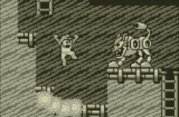 Скриншот из игры «Mega Man II»