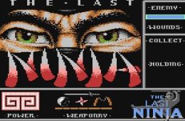 Скриншот из игры «The Last Ninja»