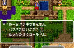 Скриншот из игры «Dragon Quest»