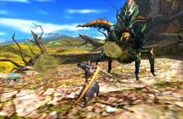 Скриншот из игры «Monster Hunter 4»