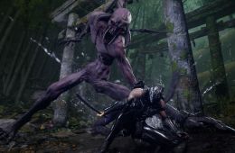 Скриншот из игры «Ninja Gaiden 4»