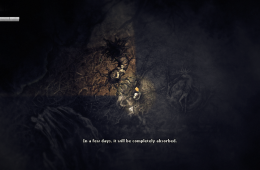 Скриншот из игры «Darkwood»