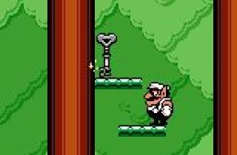 Скриншот из игры «Wario Land 3»
