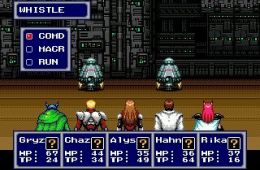 Скриншот из игры «Phantasy Star IV: The End of the Millennium»