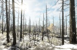 Скриншот из игры «Miscreated»