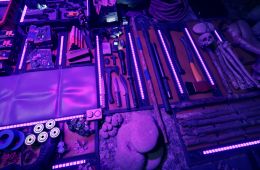 Скриншот из игры «Sons of the Forest»