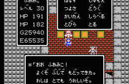 Скриншот из игры «Dragon Warrior»