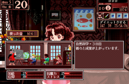 Скриншот из игры «Princess Maker 2»