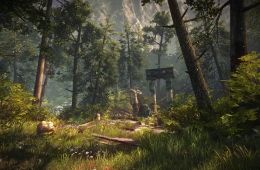 Скриншот из игры «The Forest»