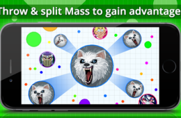 Скриншот из игры «Agar.io»