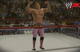 Скриншот из игры «WWE 2K14»