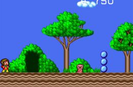 Скриншот из игры «Alex Kidd in the Enchanted Castle»