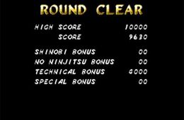 Скриншот из игры «Shinobi III: Return of the Ninja Master»
