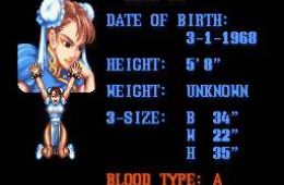 Скриншот из игры «Street Fighter II»