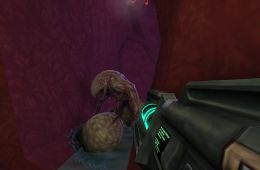 Скриншот из игры «System Shock 2: 25th Anniversary Remaster»