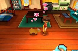 Скриншот из игры «Story of Seasons: Trio of Towns»