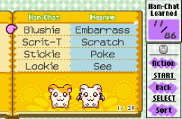Скриншот из игры «Hamtaro: Ham-Ham Heartbreak»
