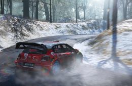 Скриншот из игры «WRC 7»