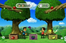 Скриншот из игры «Wii Party»