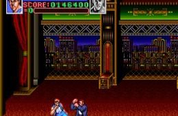 Скриншот из игры «Super Double Dragon»