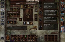 Скриншот из игры «Icewind Dale»