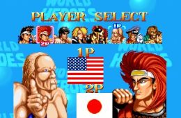 Скриншот из игры «World Heroes»