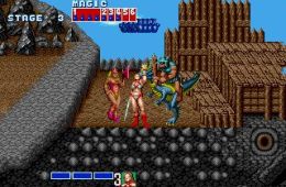 Скриншот из игры «Golden Axe»