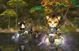 Скриншот из игры «Lineage II»