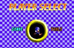 Скриншот из игры «Sonic the Hedgehog Chaos»