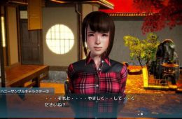 Скриншот из игры «Honey Select»