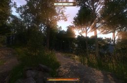 Скриншот из игры «Kingdom Come: Deliverance»