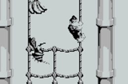 Скриншот из игры «Donkey Kong Land»