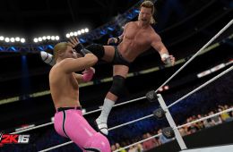 Скриншот из игры «WWE 2K16»