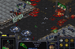 Скриншот из игры «StarCraft»